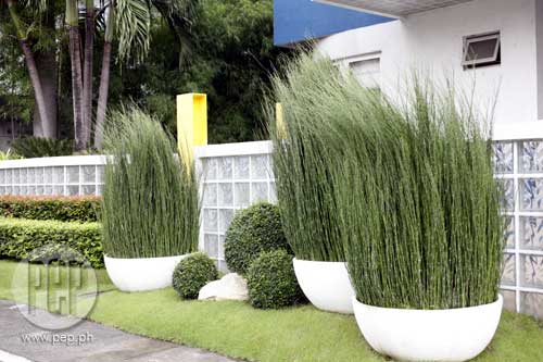 landscape pictures of front yards in the philippines