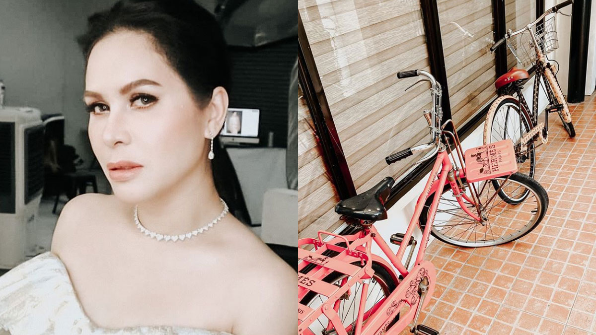 How much are Jinkee Pacquiao&#39;s luxe Hermes and Louis Vuitton bikes? | www.semadata.org