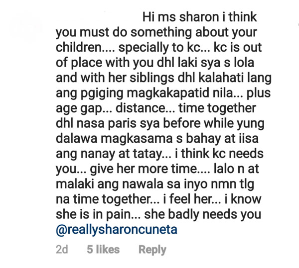 Netizen Sharon Cuneta comment