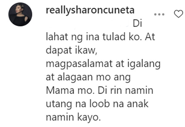 Sharon Cuneta comment to netizen