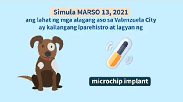 Valenzuela City microchip implant for dogs