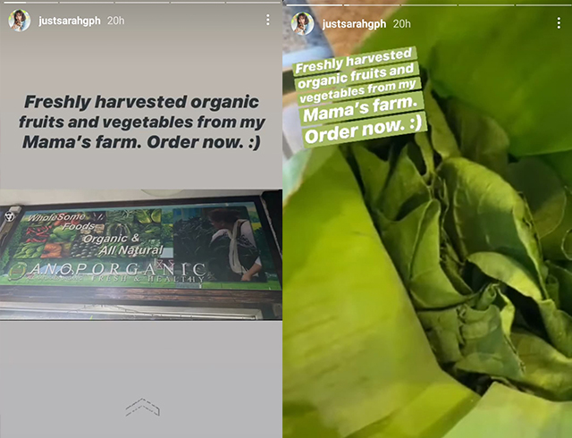 IG Story: Sarah Geronimo promotes Mommy Divine business