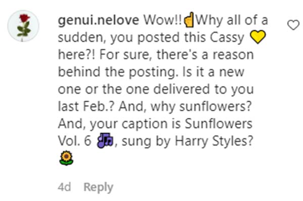 IG Comment: fans speculates the reason behind Cassy sunflower post