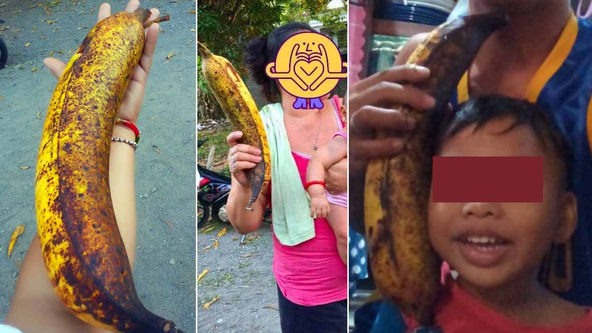 Family in Pangasinan shows how big their banana fruit is