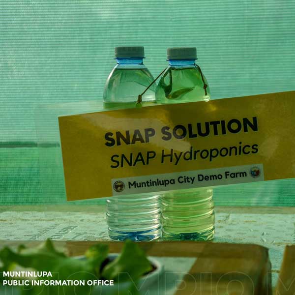 City Demo Farm's SNAP hydroponic system