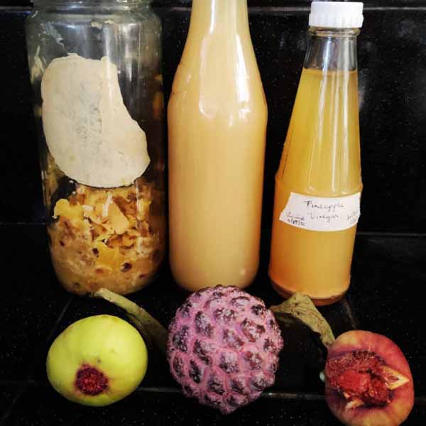 Fruit extracts from Medge de Vera's produce