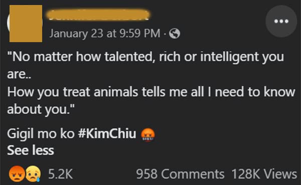 Kim Chiu, cat lovers