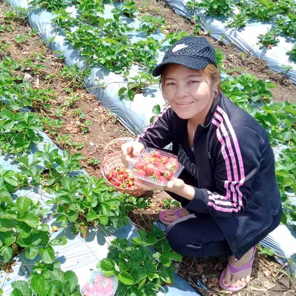 Perlie Mansog at the strawberry farm
