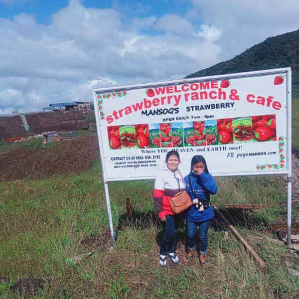 The cafeteria inside the strawberry farm