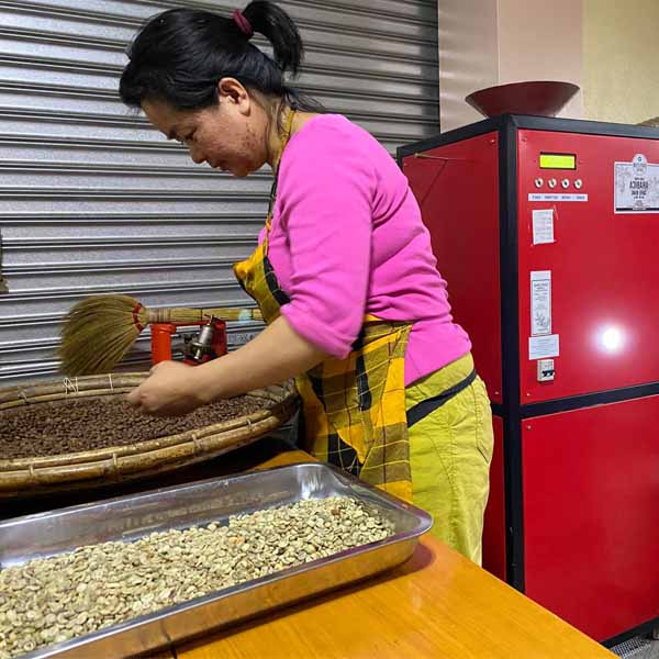 Woman cleaning coffee beans.