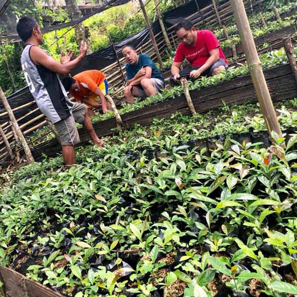 Farmers at the coffee plantation.
