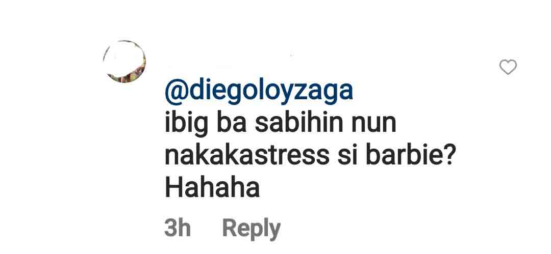 Diego Loyzaga reacts to netizen's 