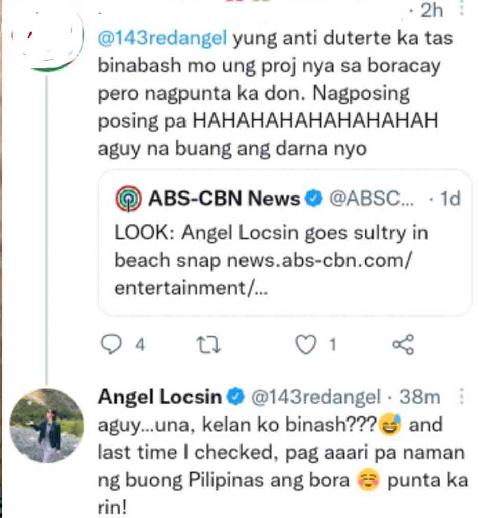Angel Locsin denies bashing Boracay rehab