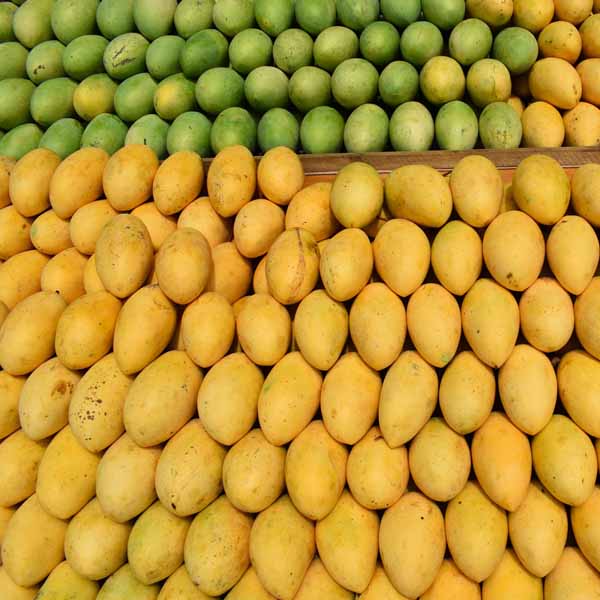 Guimaras mangoes
