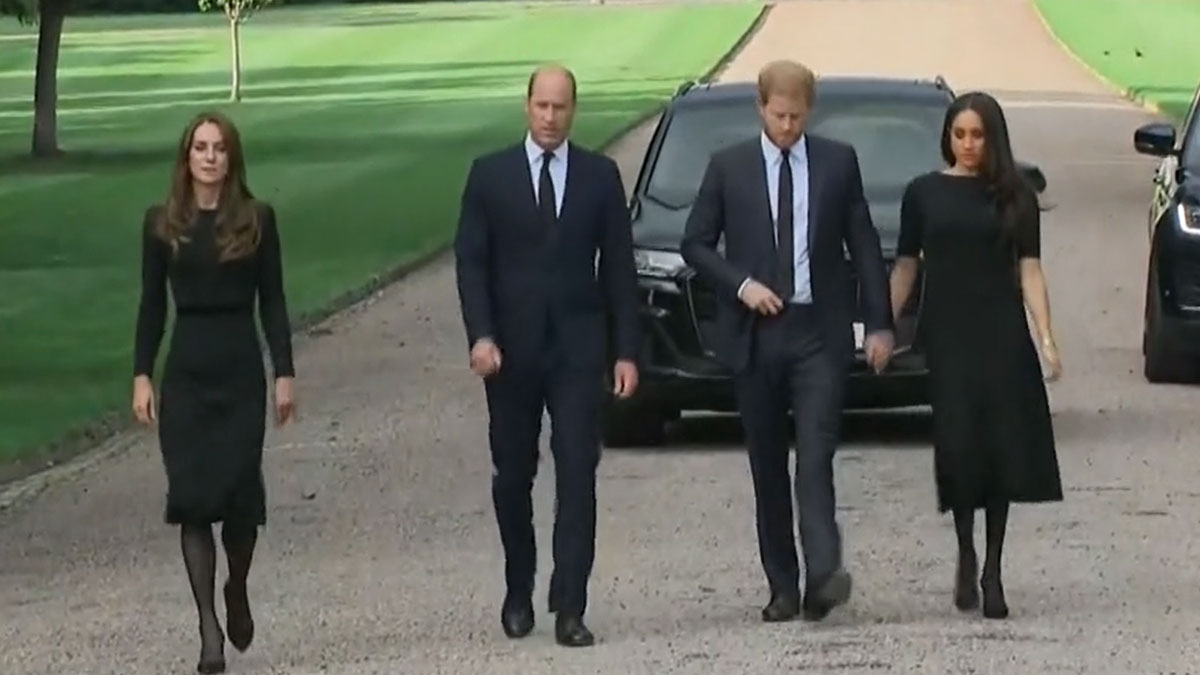 Prince William and Prince Harry unite 