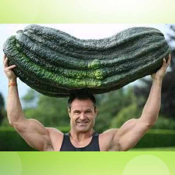 Man carrying a giant vegetable