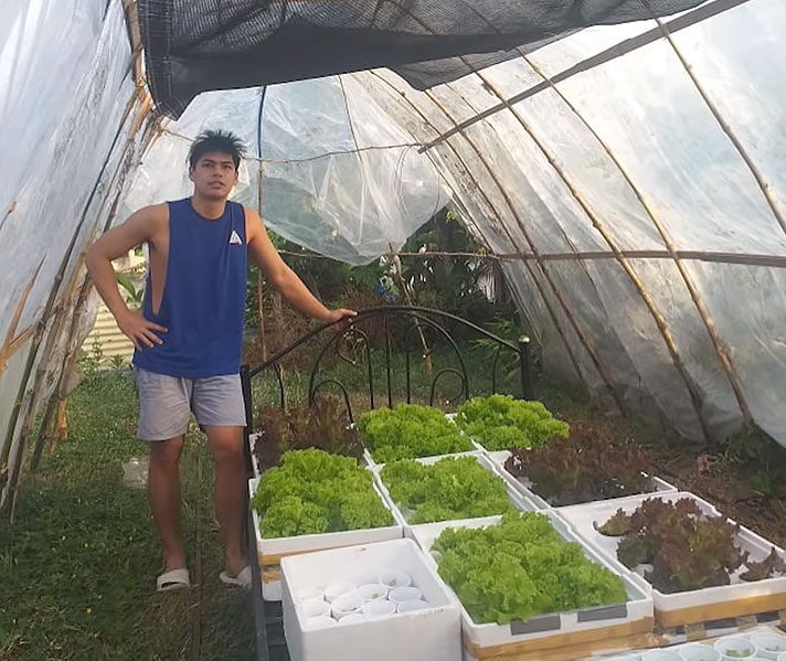 harold zapata lettuce hydroponics