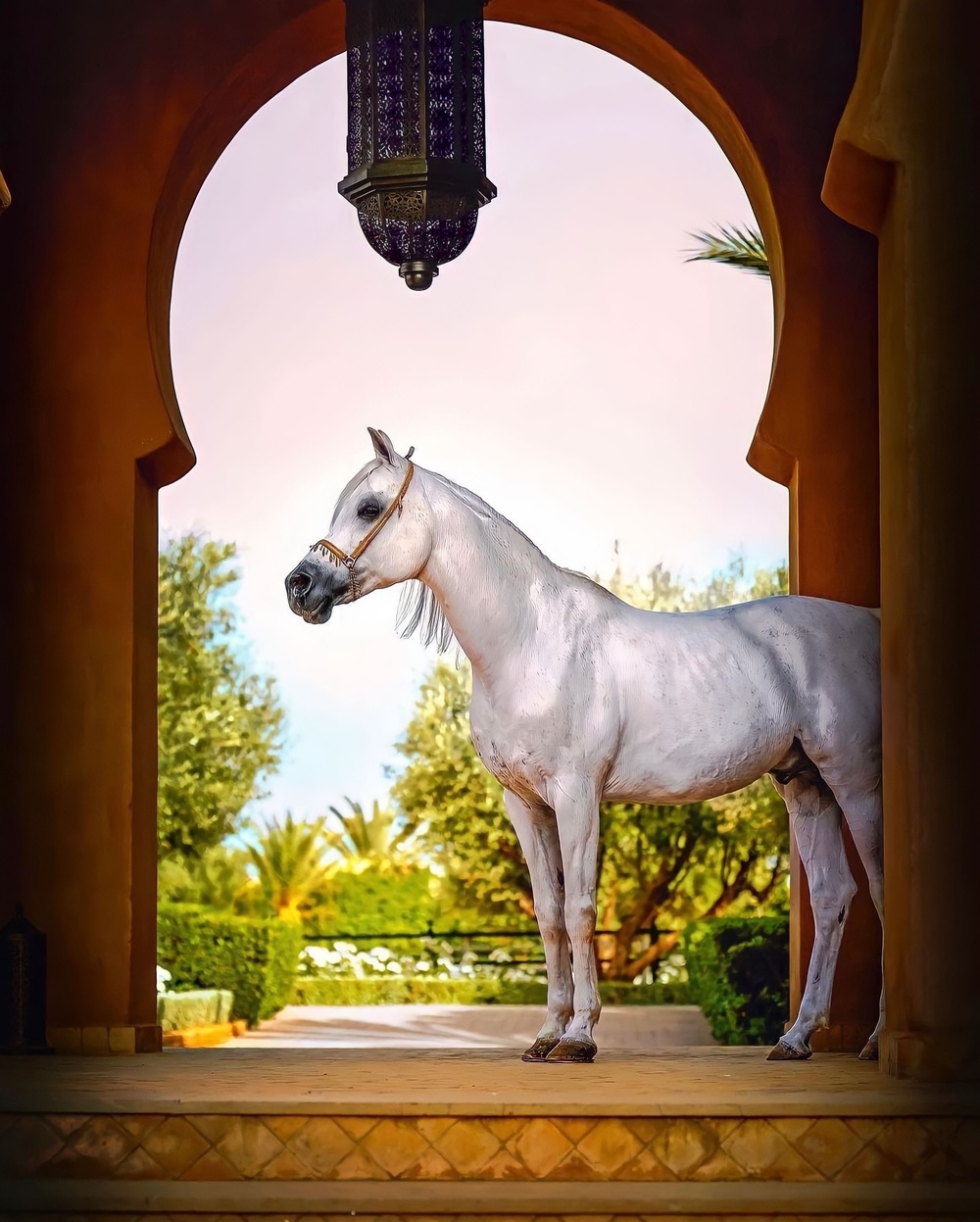 Beauty Gonzalez shares photos of Arabian stallions at a hotel