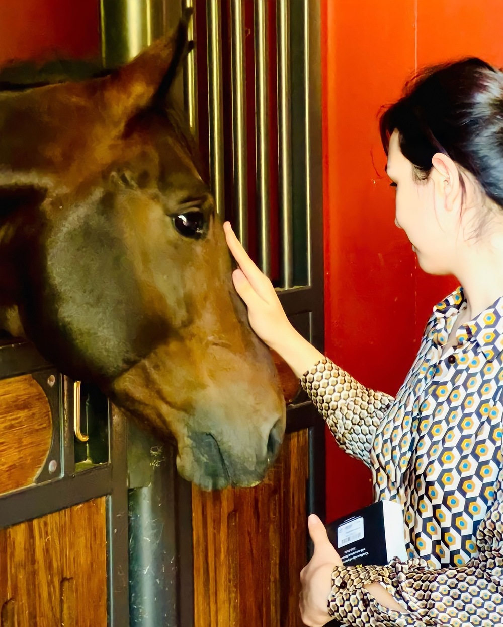 Beauty Gonzalez pets an Arabian stallion
