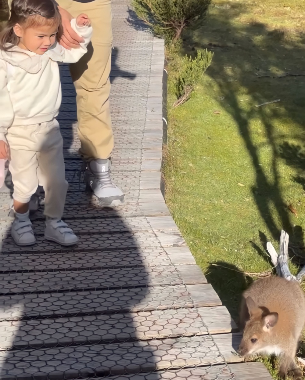 Dahlia Heussaff and Anne Curtis meet a baby kangaroo