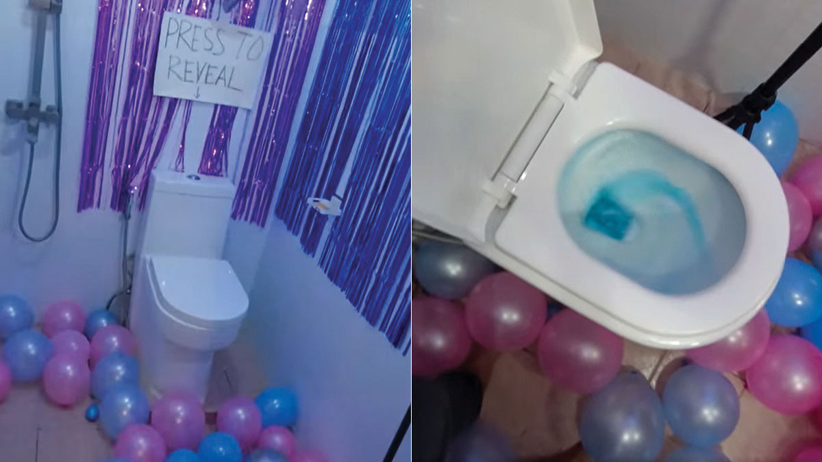 toilet flush gender reveal
