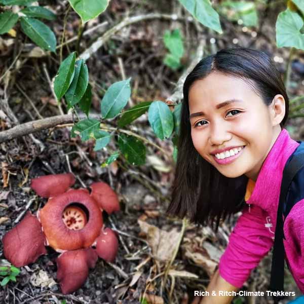 Photo of Rafflesia speciosa 
