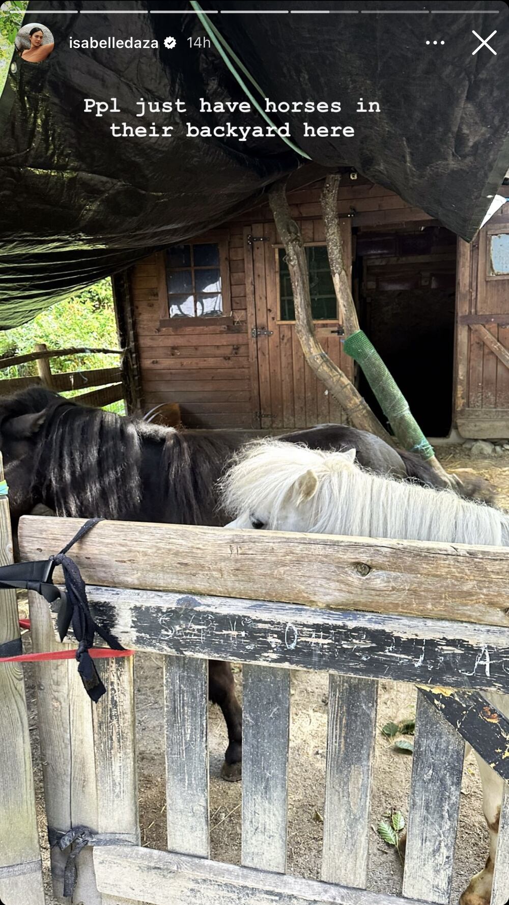 Isabelle Daza compares morning appearance to a horse; shares what her husband Adrien Semblat sees