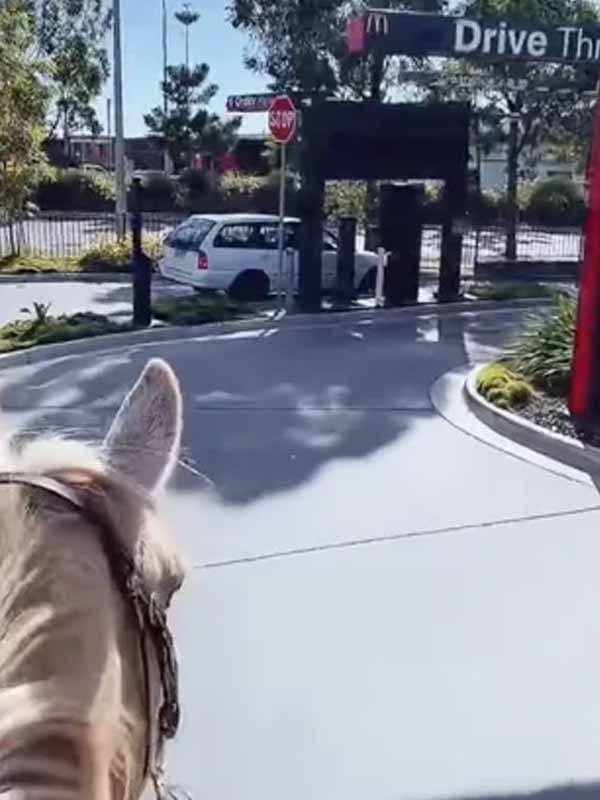 The horse entering the drive-thru