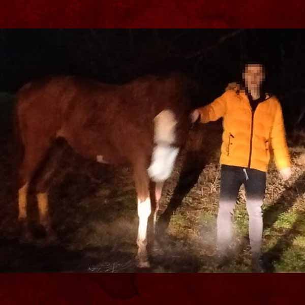 Photo of the teener with the horse