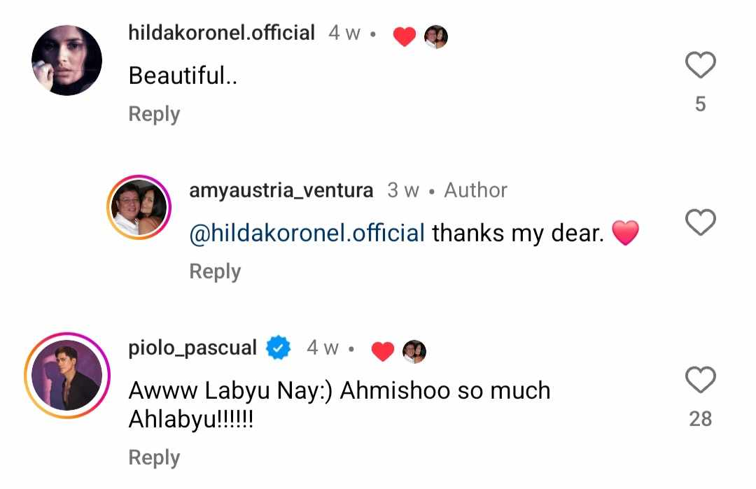 Hilda Koronel, Amy Austria and Piolo Pascual comments