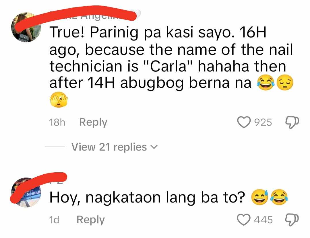 Karla Estrada netizens